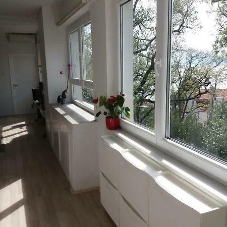 Noar * Rijeka